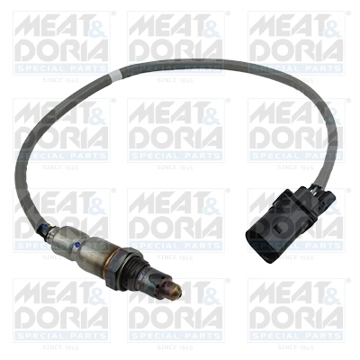 Oxygen Sensor